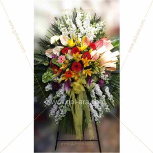 گل برای افتتاحیه