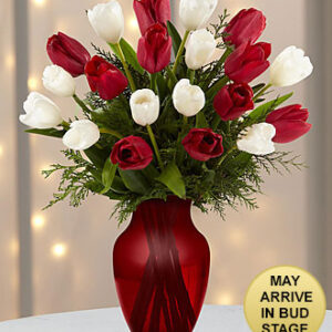 گل برای آمریکا